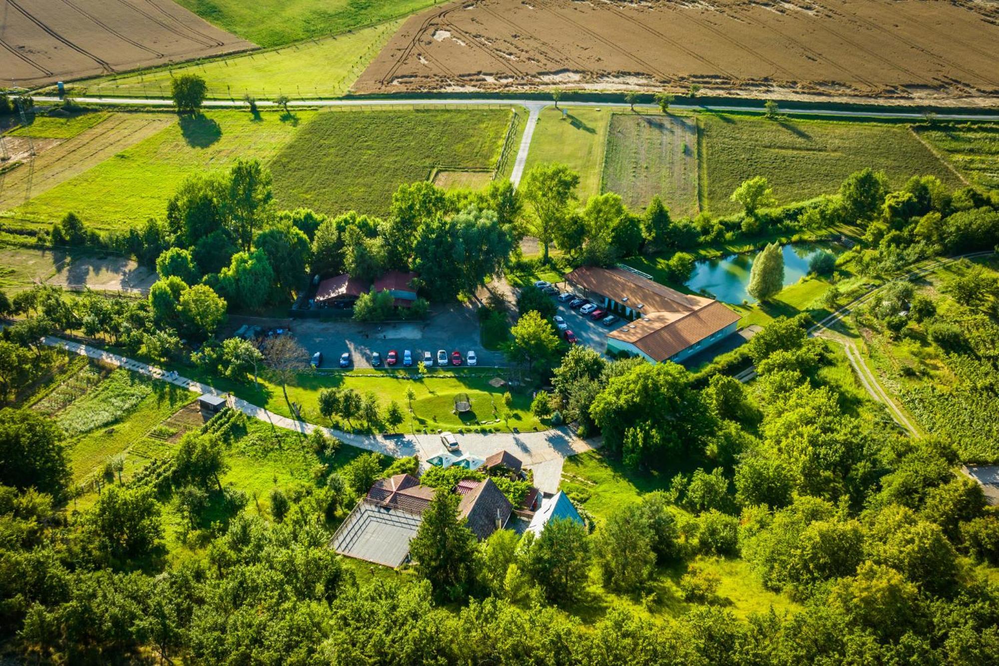 Vinny Sklep Krysa Kostelec  Exteriér fotografie